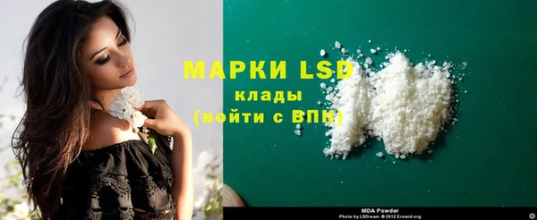 винт Аркадак