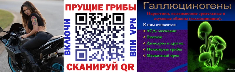 Галлюциногенные грибы мицелий  Жирновск 